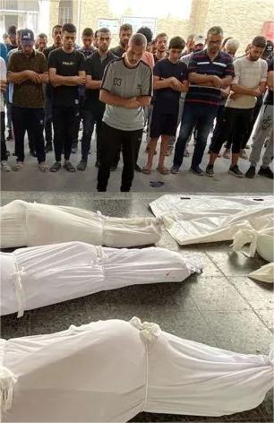 Medical sources reveal the number of martyrs in northern Gaza over the past few hours.