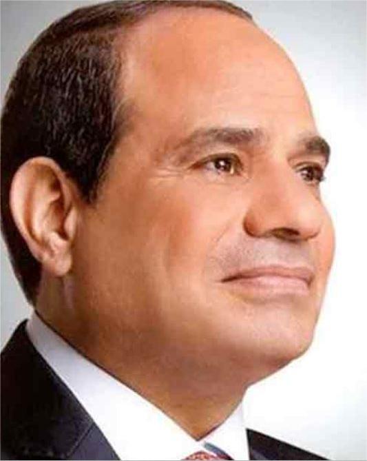 President El-Sisi Receives Executive Secretary of the UN Convention to Combat Desertification