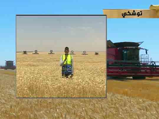 President El-Sisi inaugurates the wheat harvest season from Egypt's Future Project, with a video conference