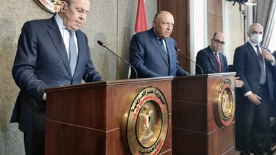 وزيرالخرجية :  مصر أكدت أهمية الحل الدبلوماسي للأزمة الروسية الأوكرانية