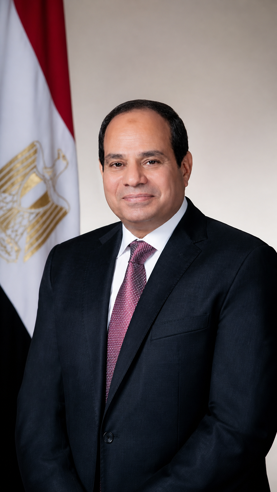 President El-Sisi Emphasizes Egypt's Aspiration to Further Develop Partnership with the OECD