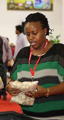 Entrepreneurs' Pavilion.. The ninth session of the "Food Africa" ​​exhibition kicks off today