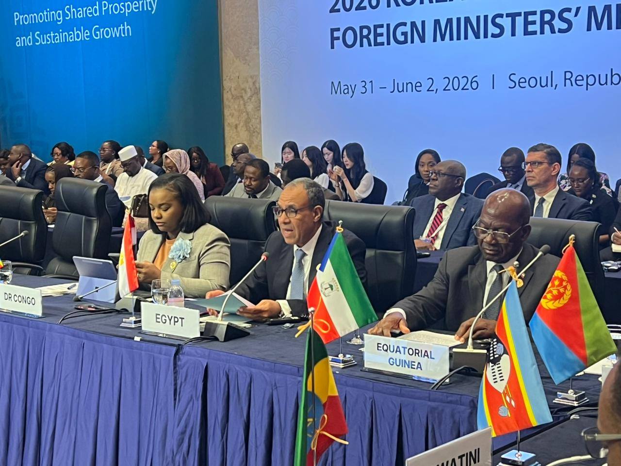 Foreign Minister Presents Egypt's Approach to Enhancing Economic Cooperation and Achieving Sustainable Development in Africa