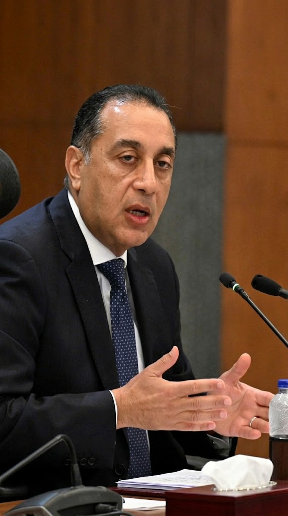 مدبولي: جارٍ تنفيذ تكليفات الرئيس بشأن العمالة غير المنتظمة والمهن الحرة والعاملين بالخارج