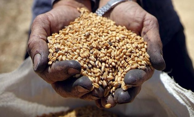 Egypt contracts to purchase 465K tons of wheat from Russia, Romania and Bulgaria