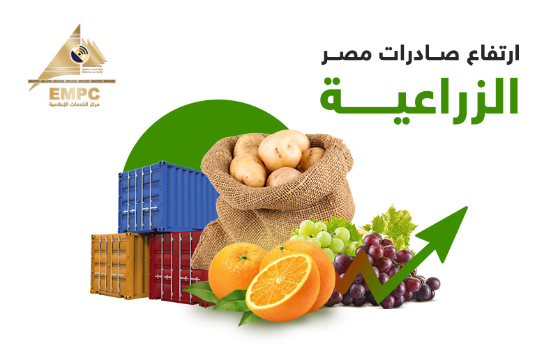 Citrus fruits lead Egypt's agricultural exports with one million and 630 thousand tonnes.