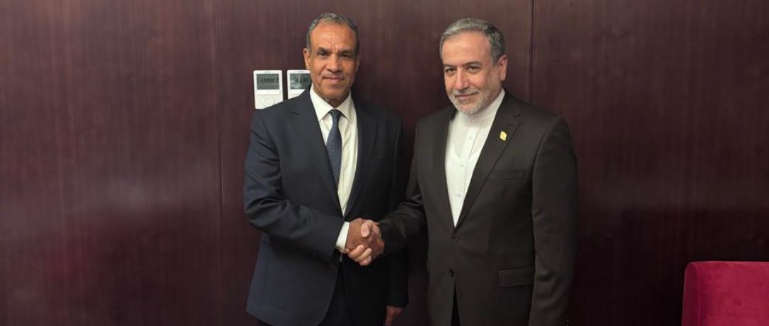 The Minister of Foreign Affairs reviews Egypt's efforts to stop the Israeli aggression against the Palestinian people