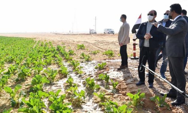 وزير الزراعة: مصر تستهدف استصلاح ما يقرب من 2.2 مليون فدان من الأراضي الزراعية