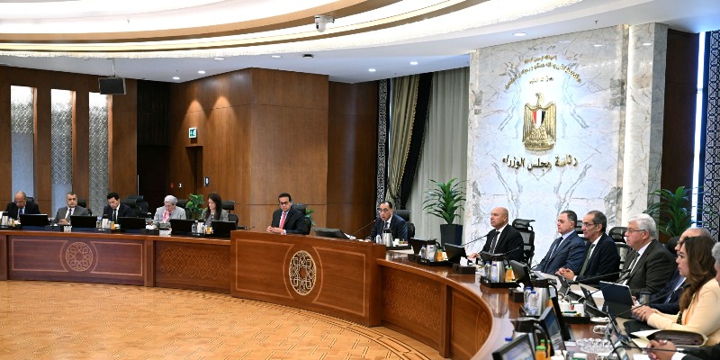 Formation of the National Council for Localizing Electronic Chips and Solar Cells Manufacturing Technology