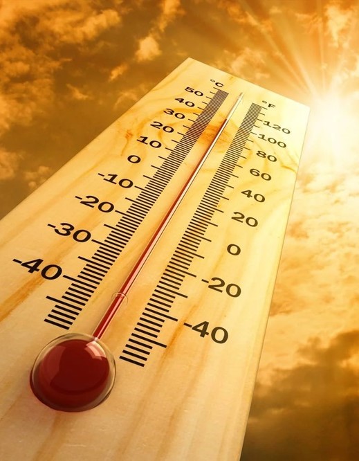 Meteorology: Hot weather during the day and extremely hot in the south of the country and Sinai, with a high of 31°C in Cairo