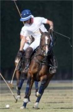 Continued Dominance: Ministry of Interior Reigns Supreme in Polo for the Second Year