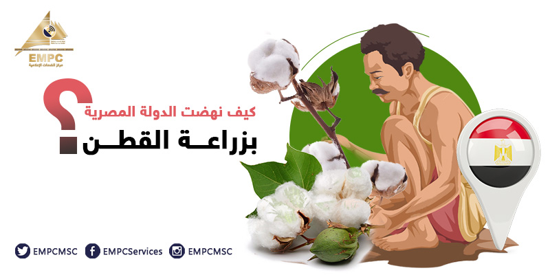 How did the Egyptian government progress the growing of cotton?