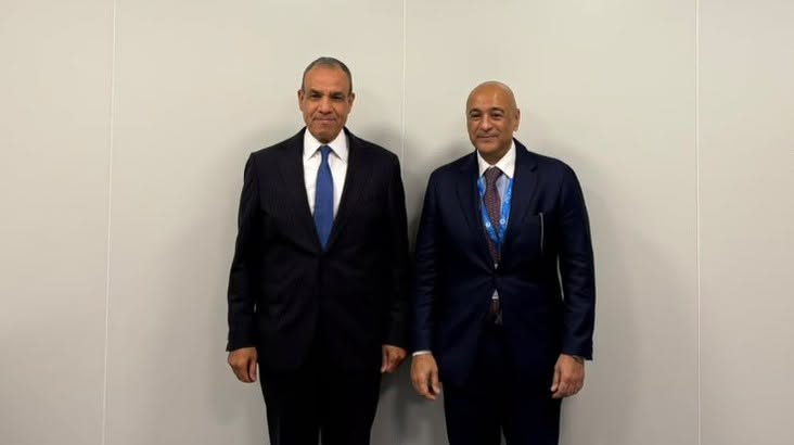 Foreign Minister: Egypt Attaches Utmost Importance to the Security and Stability of Sisterly Gulf States