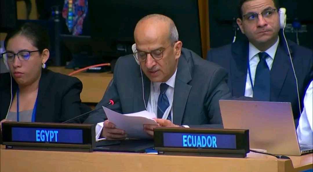 Egypt stresses the need to start preparing for the future of the water issue at the United Nations after 2028