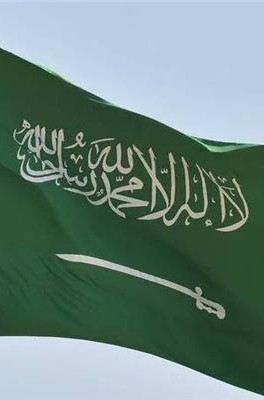 Saudi Arabia rejects Israeli occupation announcement regarding incursion into Gaza and Palestinian territories