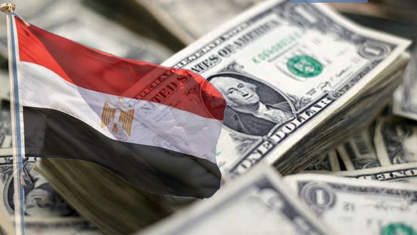 Egypt's Foreign Exchange Reserves Rise at the End of June