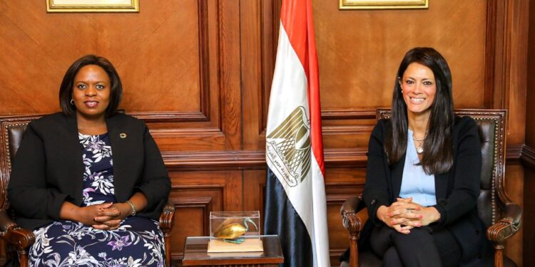  International Cooperation Ministry:  Egypt, UN discuss joint investments, partnership with private sector