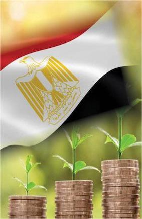 نجاح مصري متصاعد في الاستثمار البيئي والمناخي ودعم التحول الأخضر