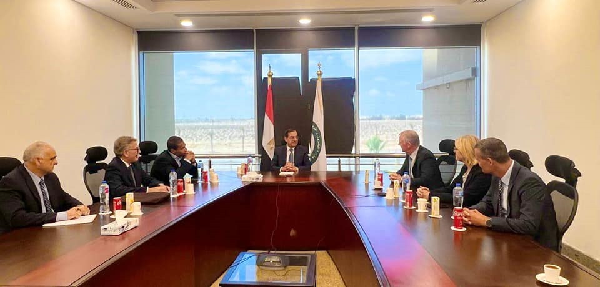 Joint discussions between the Minister of Petroleum and Mineral Resources and the President of the Danish company Halder Topso in the areas of energy transformation