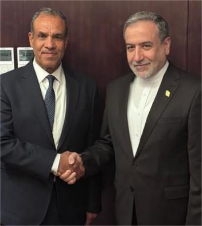 The Minister of Foreign Affairs reviews Egypt's efforts to stop the Israeli aggression against the Palestinian people