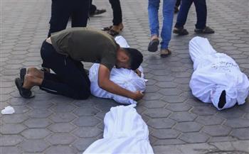 Two Palestinians Waiting for Aid Killed in Southern Gaza