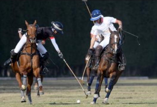 Continued Dominance: Ministry of Interior Reigns Supreme in Polo for the Second Year