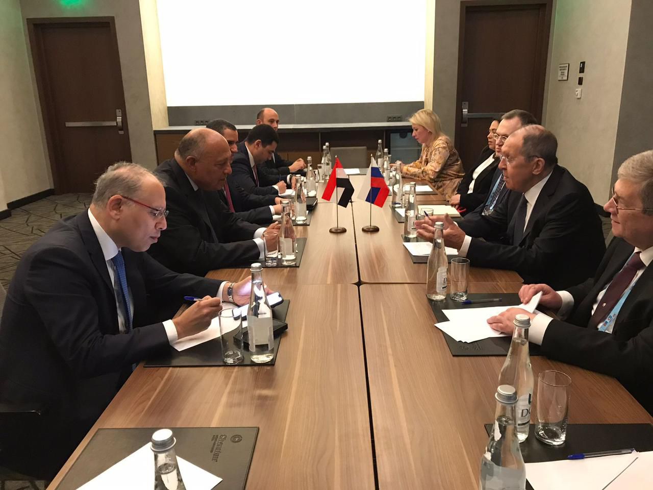 The Foreign Minister holds a discussion session with his Russian counterpart on the sidelines of the BRICS meetings